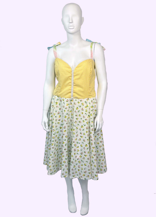 Picnic Sundress w/ Circle Skirt (Size 2X)